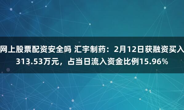 网上股票配资安全吗 汇宇制药：2月12日获融资买入313.53万元，占当日流入资金比例15.96%