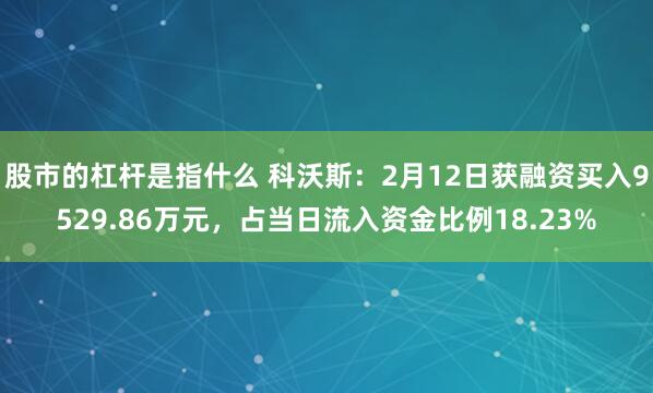 股市的杠杆是指什么 科沃斯：2月12日获融资买入9529.86万元，占当日流入资金比例18.23%