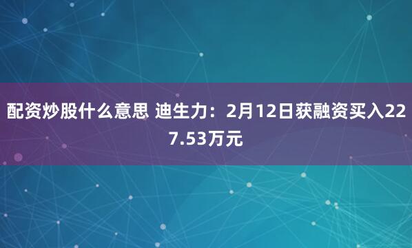 配资炒股什么意思 迪生力：2月12日获融资买入227.53万元