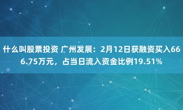 什么叫股票投资 广州发展：2月12日获融资买入666.75万元，占当日流入资金比例19.51%