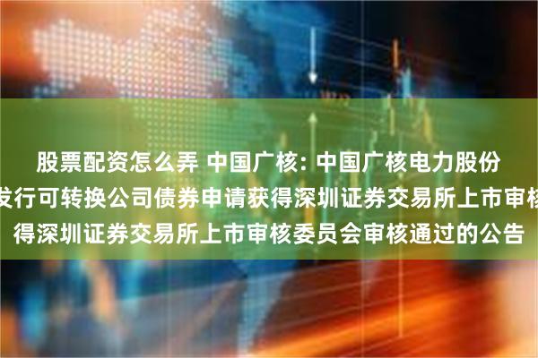 股票配资怎么弄 中国广核: 中国广核电力股份有限公司向不特定对象发行可转换公司债券申请获得深圳证券交易所上市审核委员会审核通过的公告