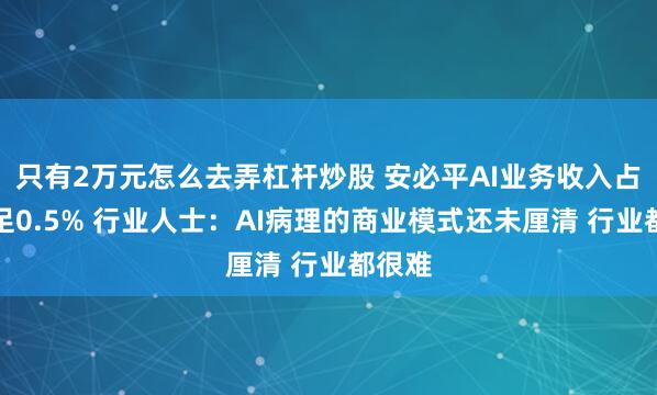 只有2万元怎么去弄杠杆炒股 安必平AI业务收入占比不足0.5% 行业人士：AI病理的商业模式还未厘清 行业都很难